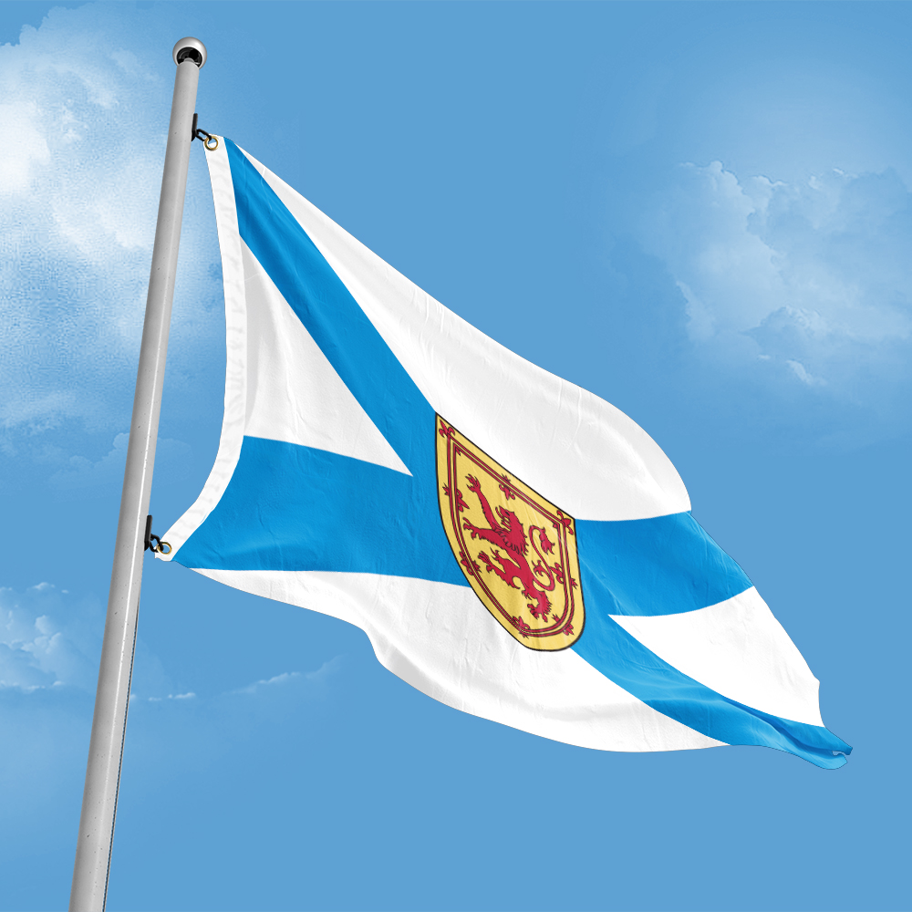 Canada Flag of Nova Scotia 3ft - Nova Decor & Lighting Julestjerne review and price