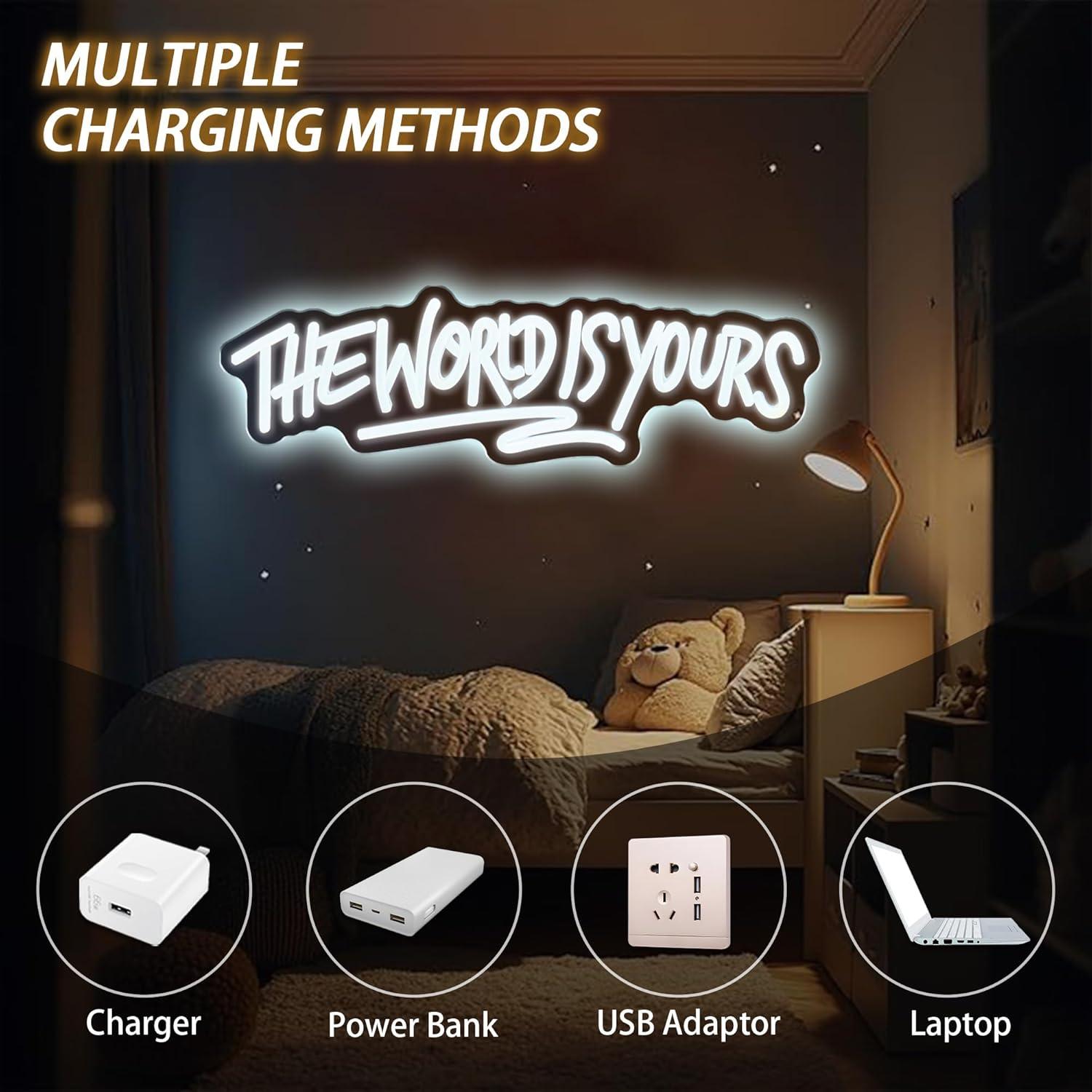The World is Yours Neon Sign U - Room Lighting Bedroom Decor review and price